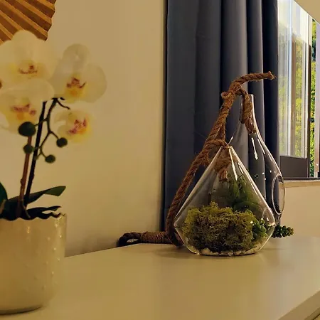 Stylish And Elegant - View And Location In Downton Apartment Coimbra